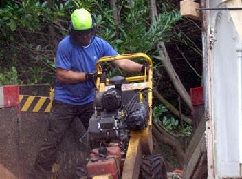 Stump Grinding